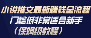 小说推文最新赚钱全流程，门槛低非常适合新手（保姆级教程）-中创网_分享创业项目_助您在家赚钱