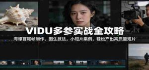 VIDU多参实战全攻略:海螺首尾帧制作,图生技法,小短片案例,轻松产出高质量短片-中创网_分享创业项目_助您在家赚钱
