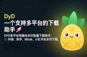 DYD多平台电脑去水印批量下载助手：抖音、快手、tiktok、小红书去水印下载-中创网_分享创业项目_助您在家赚钱