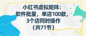 小红书虚拟矩阵:软件批量发笔记,单店100款,3个店同时操作(共71节)-中创网_分享创业项目_助您在家赚钱