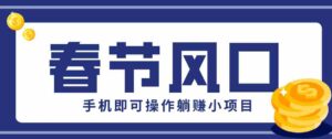 快手极速版春节推广风口，一部手机就能上手，拉新20元/人平台助力躺赚小项目-中创网_分享创业项目_助您在家赚钱