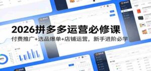 2026拼多多运营必修课:付费推广+选品爆单+店铺运营,新手进阶必学-中创网_分享创业项目_助您在家赚钱