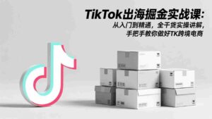 (17368期)TikTok出海掘金实战课:从入门到精通,全干货实操讲解,手把手教你做好TK跨境电商-中创网_分享创业项目_助您在家赚钱