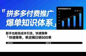 拼多多付费推广爆单知识体系,新手也能低成本引流,快速爆单,单店铺日销500单-中创网_分享创业项目_助您在家赚钱