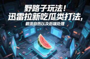 野路子玩法！迅雷拉新吃瓜类打法，截流自热以及后端处理-中创网_分享创业项目_助您在家赚钱
