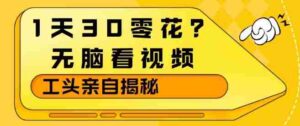 1天30零花？无脑看视频，大佬亲自揭秘-中创网_分享创业项目_助您在家赚钱