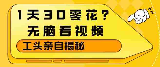 1天30零花?无脑看视频,大佬亲自揭秘