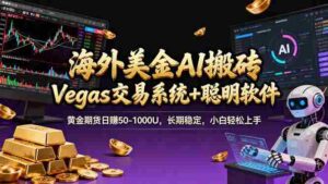 (17316期)海外美金操盘手技术,Vegas交易技术+聪明软件,日赚50-1000U,长期稳定,小白轻松上手。-中创网_分享创业项目_助您在家赚钱
