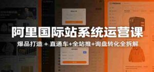 阿里国际站运营实战课:从店铺布局到TOP10旺铺,数据化运营,推广全攻略-中创网_分享创业项目_助您在家赚钱
