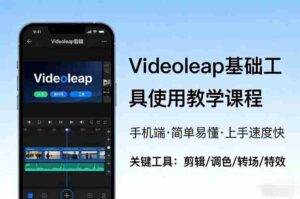 Videoleap基础工具使用教学课程,手机端视频剪辑教学,简单易懂,上手速度快-中创网_分享创业项目_助您在家赚钱