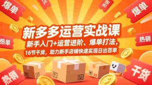 (17342期)拼多多运营实战课,新手入门+运营进阶、爆单打法,16节干货,助力新手店铺快速实现日出百单-中创网_分享创业项目_助您在家赚钱