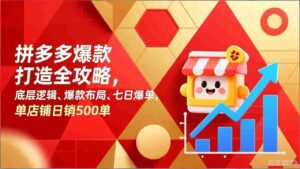 (17346期)拼多多爆款打造全攻略,底层逻辑、爆款布局、七日爆单,单店铺日销500单-中创网_分享创业项目_助您在家赚钱