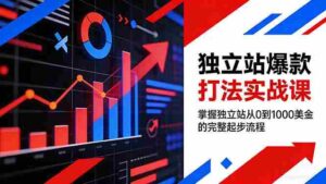 （17322期）独立站爆款打法实战课，掌握独立站从0到1000美金的完整起步流程-中创网_分享创业项目_助您在家赚钱