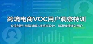 跨境电商VOC用户洞察特训:价值剖析+链路拆解+标签树设计,精准读懂海外用户-中创网_分享创业项目_助您在家赚钱