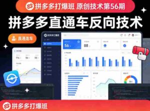 《拼多多打爆班》原创技术第56期,拼多多直通车反向技术-中创网_分享创业项目_助您在家赚钱