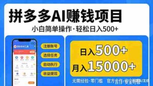 （17674期）拼多多AI赚钱项目，小白简单操作，轻松日入500＋【独家视频教程】-中创网_分享创业项目_助您在家赚钱