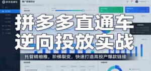 拼多多直通车逆向投放实战:托管精细推,阶梯裂变,快速打造高投产爆款链接-中创网_分享创业项目_助您在家赚钱