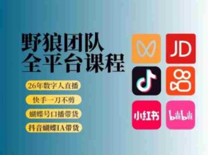 野狼团队2026新版全平台短视频带货教学,打开流量突破口,开始Ai带货(更新26年3月)-中创网_分享创业项目_助您在家赚钱