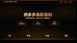 (17799期)拼多多高阶盈利年费会员(更新3月):全类目活动玩法、原价上大促、洗图防比价等核心盈利技术-中创网_分享创业项目_助您在家赚钱