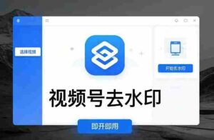 视频号去水印软件，电脑软件，即开即用-中创网_分享创业项目_助您在家赚钱