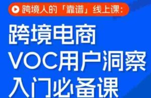 跨境电商VOC用户洞察入门必备课,跨境人的靠谱线上课-中创网_分享创业项目_助您在家赚钱