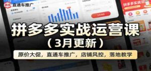 拼多多实战运营课（3月更新）：原价大促，直通车推广，店铺风控，落地教学-中创网_分享创业项目_助您在家赚钱