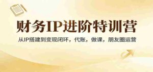 财务IP进阶特训营:从IP搭建到变现闭环,代账,做课,朋友圈运营-中创网_分享创业项目_助您在家赚钱