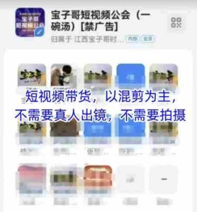 宝子哥头部团队短视频带货,以混剪为主,不需要真人出镜,不需要拍摄【更新26年3月】-中创网_分享创业项目_助您在家赚钱