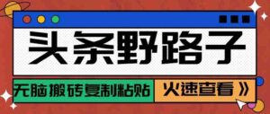 头条单账号日收益300+野路子玩法赛道，无脑搬砖复制粘贴，保姆级教程-中创网_分享创业项目_助您在家赚钱