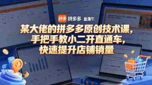 某大佬的拼多多原创技术课,手把手教小二开直通车,快速提升店铺销量-中创网_分享创业项目_助您在家赚钱