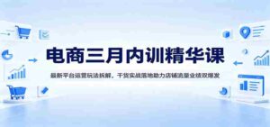 电商三月内训精华课:最新平台运营玩法拆解,干货实战落地助力店铺流量业绩双爆发-中创网_分享创业项目_助您在家赚钱