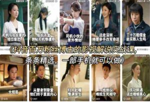 抖音百万粉丝博主的影视解说实战课，精选独家解说教学，条条精选，一部手机就可以做-中创网_分享创业项目_助您在家赚钱