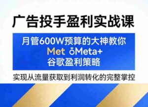广告投手盈利实战课,月管600W预算的大神教你Meta+谷歌盈利策略,实现从流量获取到利润转化的完整掌控-中创网_分享创业项目_助您在家赚钱