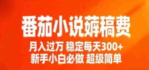 番茄小说赚稿费稳定300+每天，实操落地两年，新手小白必做，超级简单！-中创网_分享创业项目_助您在家赚钱