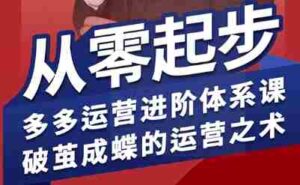 拼多多运营进阶系统课,从零起步,多多运营进阶体系课,破茧成蝶的运营之术(更新26年4月)-中创网_分享创业项目_助您在家赚钱