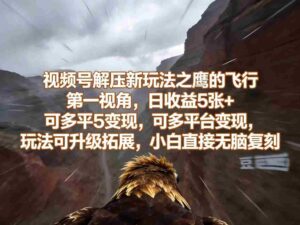 视频号解压新玩法之鹰的飞行第一视角,日收益5张+,可多平台变现,玩法可升级拓展,小白直接无脑复刻-中创网_分享创业项目_助您在家赚钱