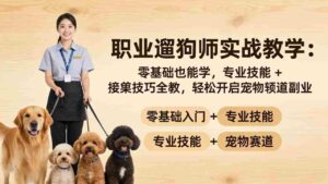 (18115期)职业遛狗师实战教学:零基础也能学,专业技能 + 接单技巧全教,轻松开启宠物赛道副业-中创网_分享创业项目_助您在家赚钱