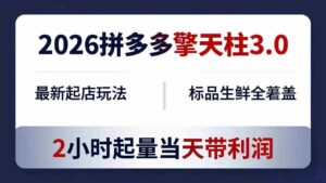 (18129期)2026拼多多擎天柱 3.0-更新4月20:最新起店玩法,标品生鲜全覆盖,2小时起量当天带利润-中创网_分享创业项目_助您在家赚钱