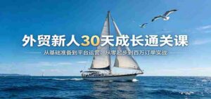 外贸新人30天成长通关课:从基础准备到平台运营,从零起步到百万订单实战-中创网_分享创业项目_助您在家赚钱