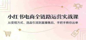 小红书电商全链路运营实战课:从变现方式、选品引流到直播售后,手把手教你出单-中创网_分享创业项目_助您在家赚钱