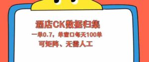 上班也能玩的酒店CK数据归集,一单0.7单窗口每天可做100单,一个人就能矩阵操作【揭秘】-中创网_分享创业项目_助您在家赚钱