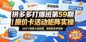 拼多多打爆班第59期|原价卡活动矩阵实操,300个链接大促起爆,单款裂变多链接-中创网_分享创业项目_助您在家赚钱