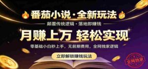 番茄小说5月最新独家玩法,稳定落地实测月入过万!-中创网_分享创业项目_助您在家赚钱