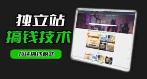 干货来袭！麦子甜带你吃透独立站｜从搭建到引流一站式教学《独立站》第一期-中创网_分享创业项目_助您在家赚钱