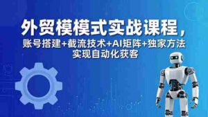 (18367期)外贸新模式实战课程-更新5月,账号搭建+截流技术+AI矩阵+独家方法实现自动化获客-中创网_分享创业项目_助您在家赚钱