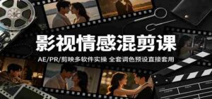 影视情感混剪课：AE/PR/剪映多软件实操，全套调色预设直接套用-中创网_分享创业项目_助您在家赚钱