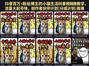 抖音百万粉丝博主的小猫生活科普视频教学,流量大起号快,创作者伙伴计划|分成计划|商单|收徒等-中创网_分享创业项目_助您在家赚钱