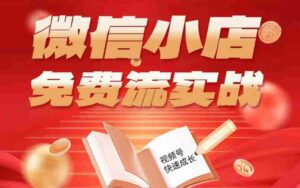 微信小店免费流实战,有货源无货源双模式,从开店到爆单全实操课,小白也能月入1W+-中创网_分享创业项目_助您在家赚钱