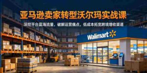 亚马逊卖家转型沃尔玛实战课，深挖平台蓝海流量，破解运营痛点，低成本拓宽跨境增收渠道-中创网_分享创业项目_助您在家赚钱