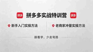 (18468期)拼多多实战特训营(更新5月15):不管是新手入门或老商家冲量,都有实操方法,跟着学,少走弯路-中创网_分享创业项目_助您在家赚钱
